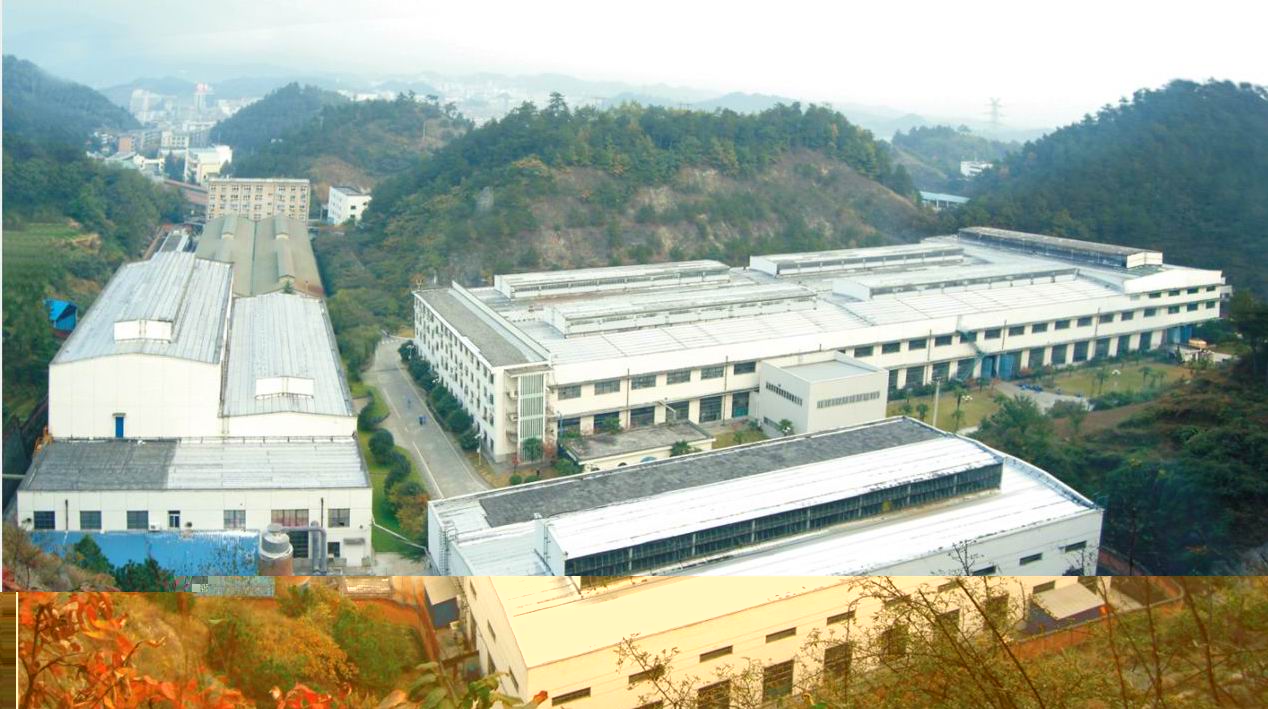 ˾ OverLooking compan